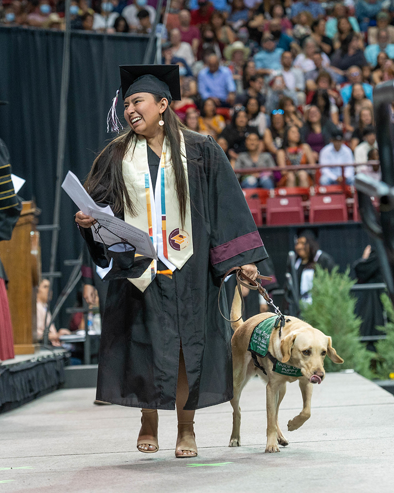 Woman walking across stage at commencement ceremony with her yellow Labrador retriever